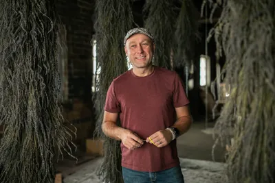 Mark Ponchak, a lavender farmer in McConnellsville, OH, with his drying lavender in the attic of his brotherâs brewery on November 6, 2023.